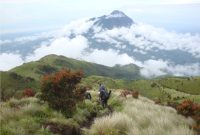 pendakian gunung argopuro berapa lama