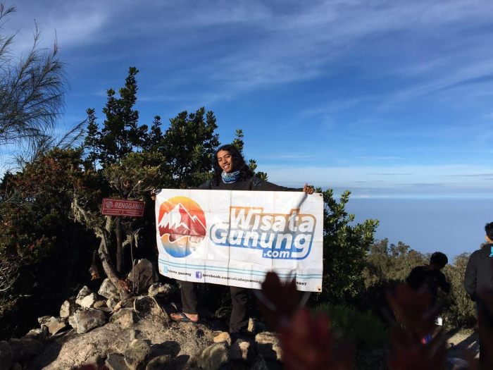 gunung argopuro untuk pendaki pemula terbaru