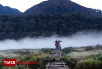 camping di gunung argopuro