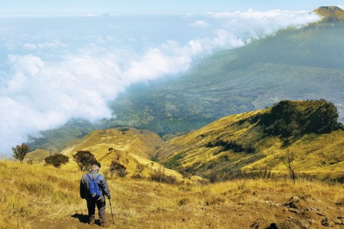 gunung argopuro untuk pendaki pemula terbaru