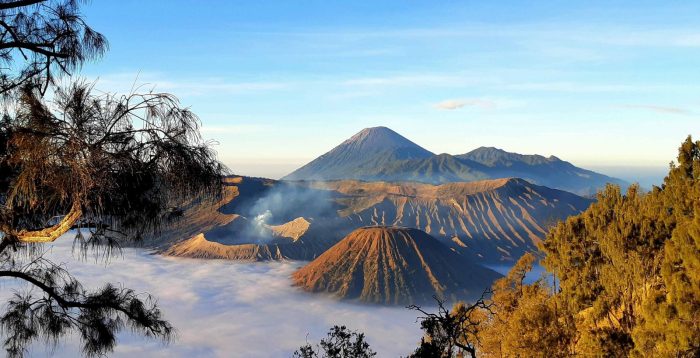 paket wisata gunung bromo untuk anak-anak terbaru