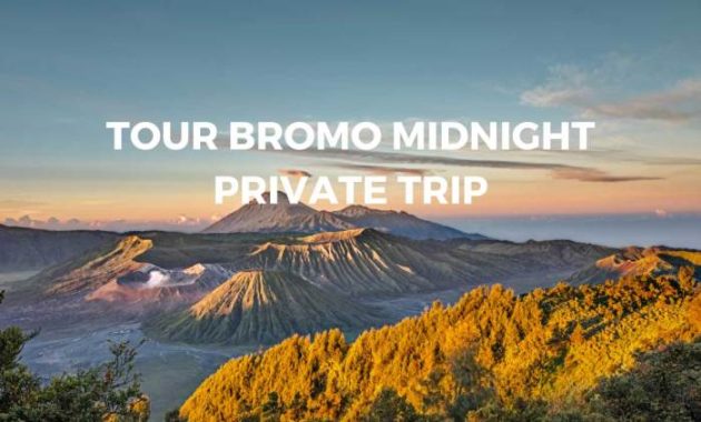 Bromo tour package days