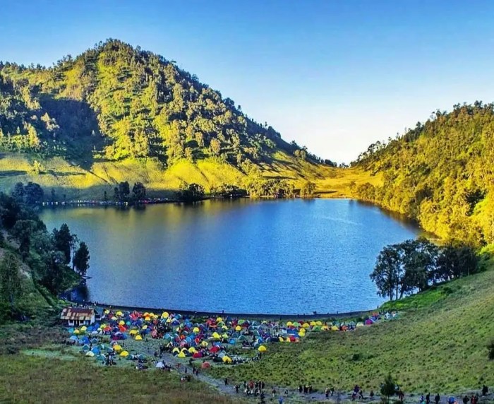 Biaya pendakian Ranukumbolo terbaru, termasuk tiket masuk dan perlengkapan.